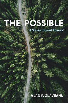 Book cover for The Possible