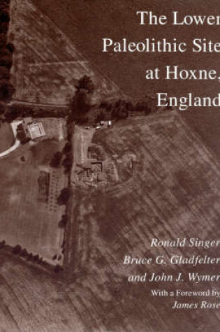 Cover of The Lower Paleolithic Site at Hoxne, England