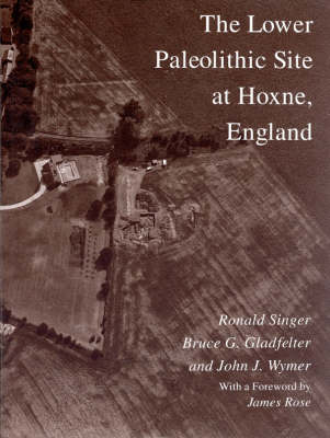 Book cover for The Lower Paleolithic Site at Hoxne, England