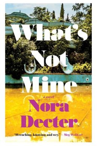 Cover of What's Not Mine