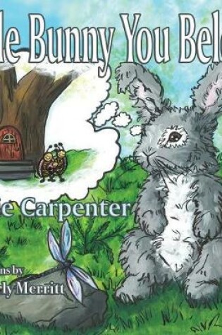 Cover of Little Bunny You Belong