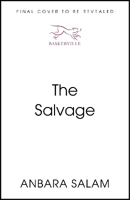 Book cover for The Salvage