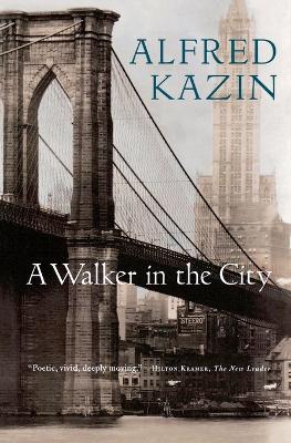 Book cover for Walker in the City