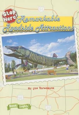 Book cover for Stop Here! Remarkable Roadside Attractions