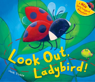 Book cover for Look Out, Ladybird!