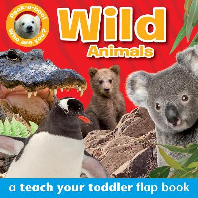 Book cover for Peek-a-Boo Books: Wild Animals