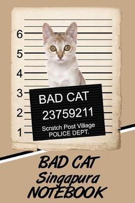 Book cover for Bad Cat Singapura Notebook