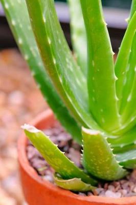 Book cover for The Aloe Vera Potted Plant Journal