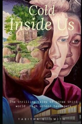 Cover of Cold Inside Us