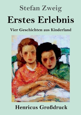 Book cover for Erstes Erlebnis (Großdruck)