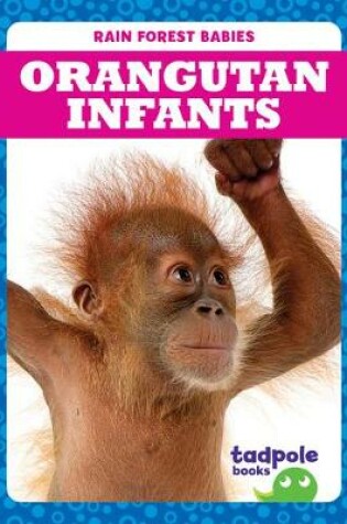 Cover of Orangutan Infants