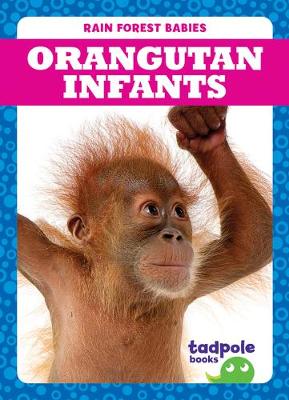 Book cover for Orangutan Infants