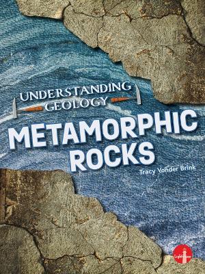 Book cover for Metamorphic Rocks