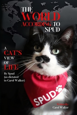 Book cover for The World According to Spud