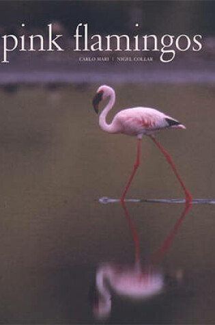 Cover of Pink Flamingos