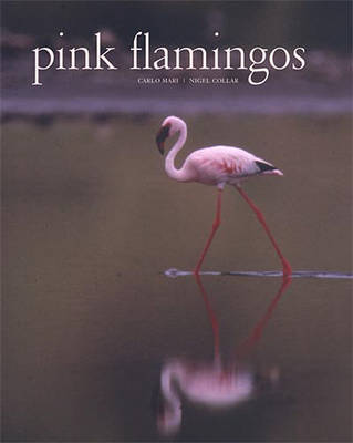 Book cover for Pink Flamingos