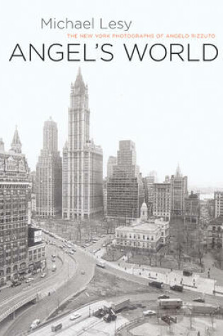 Cover of Angel's World