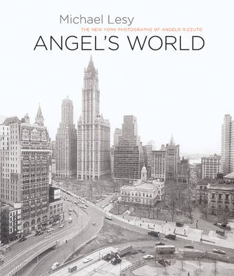 Book cover for Angel's World