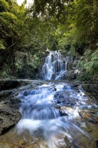 Cover of A Jungle Waterfall in Vietnam Journal