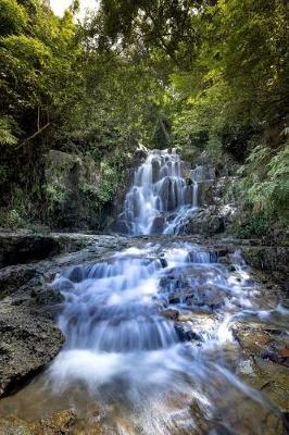 Book cover for A Jungle Waterfall in Vietnam Journal