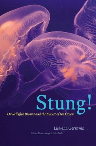 Cover of Stung!