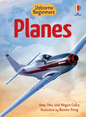 Cover of Beginners Planes