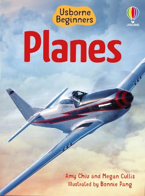 Book cover for Beginners Planes