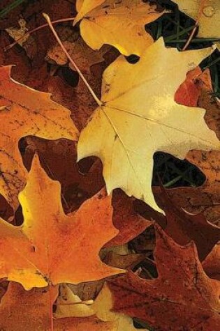 Cover of Autumn Leaves Notebook