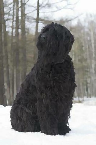 Cover of Black Russian Terrier