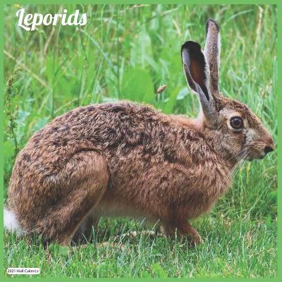 Book cover for Leporids 2021 Wall Calendar