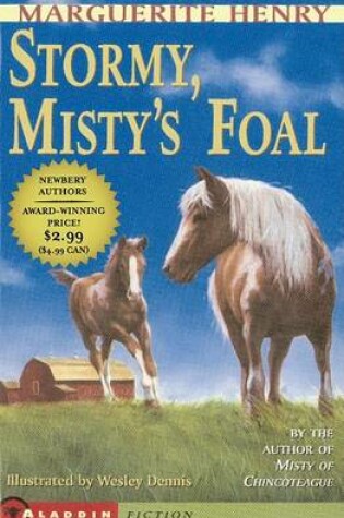 Cover of Stormy