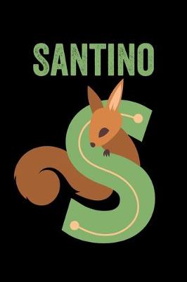 Book cover for Santino