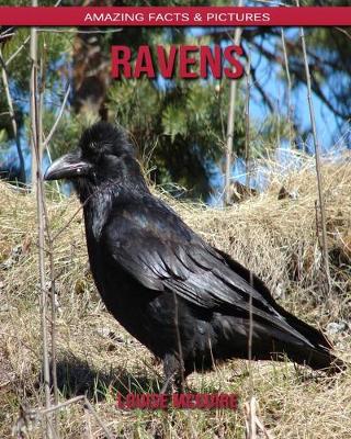 Book cover for Ravens