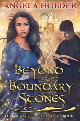 Book cover for Beyond the Boundary Stones