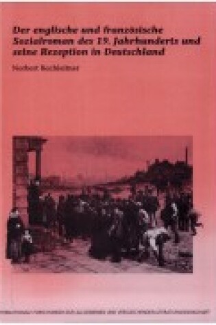 Cover of Der englische und franzoesische Sozialroman des 19. Jahrhunderts und seine Rezeption in Deutschland
