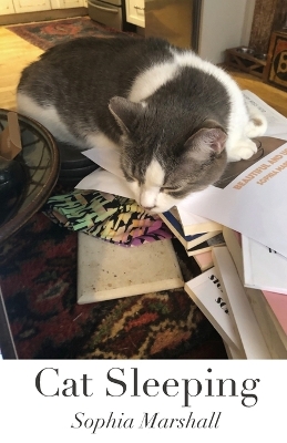 Book cover for Cat Sleeping