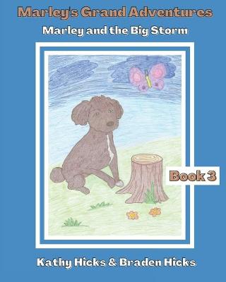 Cover of Marley and the Big Storm