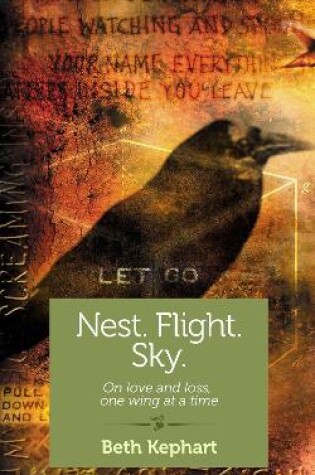 Cover of Nest. Flight. Sky.