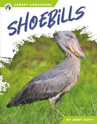 Book cover for Shoebills