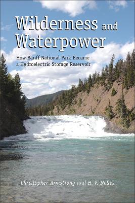 Book cover for Wilderness and Waterpower