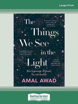 Book cover for The Things We See in the Light