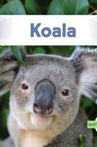 Cover of Koala