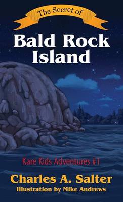 Book cover for The Secret of Bald Rock Island