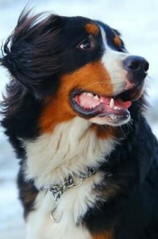 Cover of Burnese Mountain Dog Portrait Journal