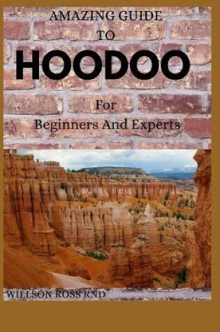 Cover of AMAZING GUIDE TO HOODOO For Beginners And Experts