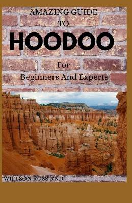 Book cover for AMAZING GUIDE TO HOODOO For Beginners And Experts