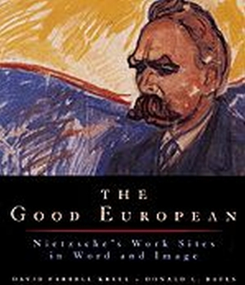 Book cover for The Good European