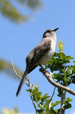 Cover of Northern Mockingbird Journal