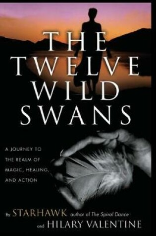 Cover of The Twelve Wild Swans