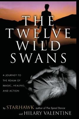 Book cover for The Twelve Wild Swans